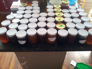 In case anyone was wondering this is the grand total of jam, jelly, and marmalade I made over the past few weeks.