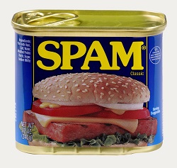 Noodles and Spam – Regular and Posh