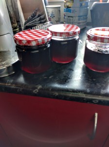 The Manic End of Manic Depressive or Why I Have a House Full of Jam