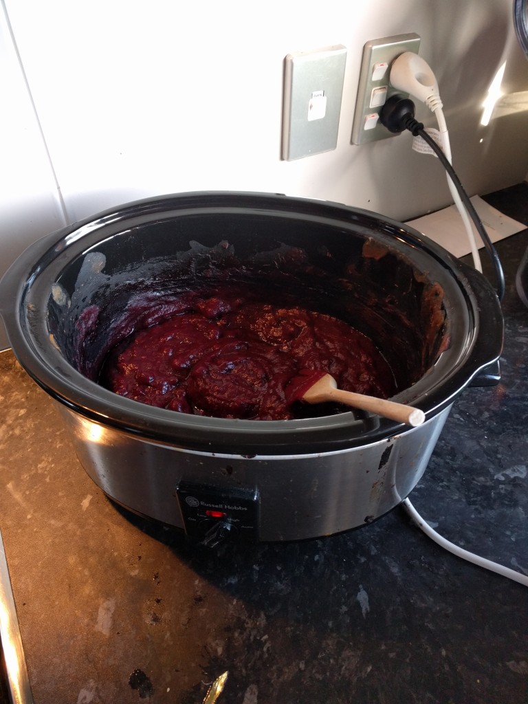 Green Apple/Blueberry apple butter. Apple butter is the easiest thing. Put apples in a crock pot for two days then put in jars. 