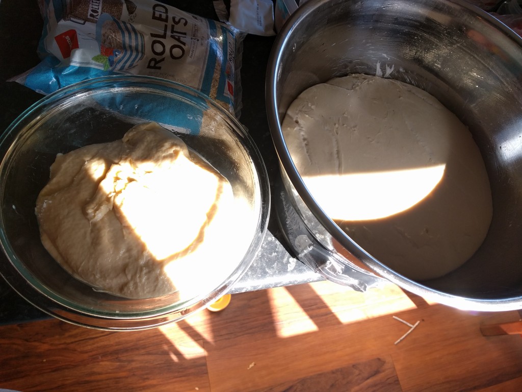 Sourdough and challa bread.