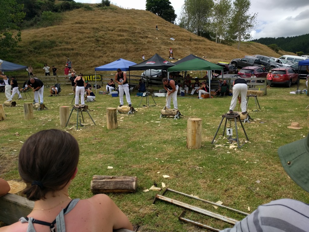 And here is the only picture I took at the A&P show. Yes, chopping wood is a sport.